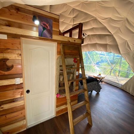 Glamping Pucoyan Futrono Exteriör bild