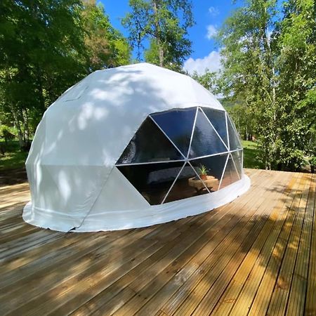 Glamping Pucoyan Futrono Exteriör bild